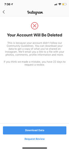 Instagram - Your Account Will Be Deleted
